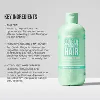 شامپو هیربرست Hairburst سبز ضد چربی، اسکالپ و شوره حجم 350ml | ضد ریزش، پاکسازی کف سر و بازسازی مو